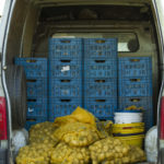 Pommes de terre chargées dans le camion
