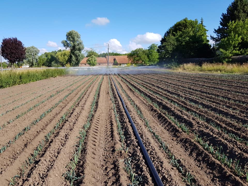 l'arrosage automatisé des champs